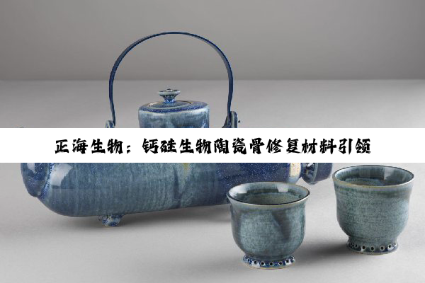 正海生物：钙硅生物陶瓷骨修复材料引领口腔健康新纪元，下半年注册申请在即