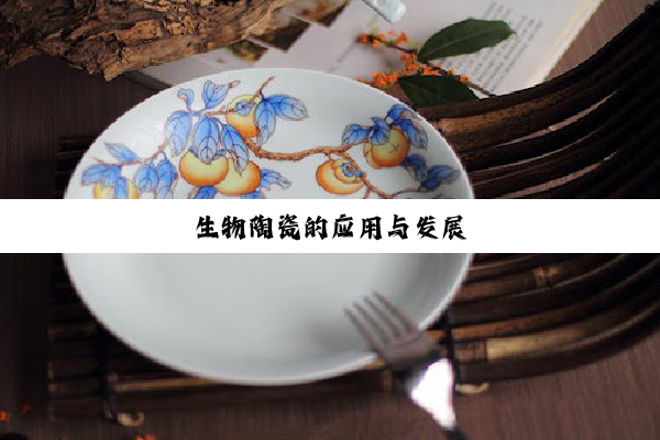 生物陶瓷的应用与发展