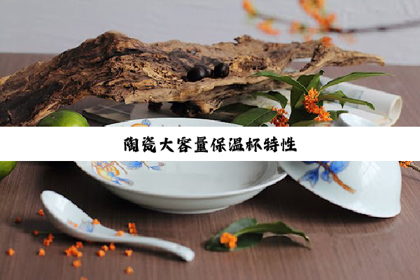 陶瓷大容量保温杯特性