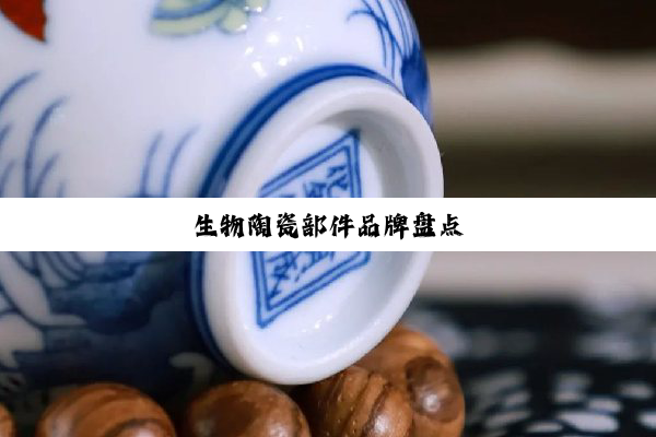 今日科普|生物陶瓷部件品牌盘点