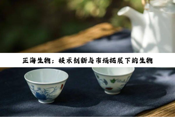 【今日要闻】正海生物：技术创新与市场拓展下的生物再生材料领航者