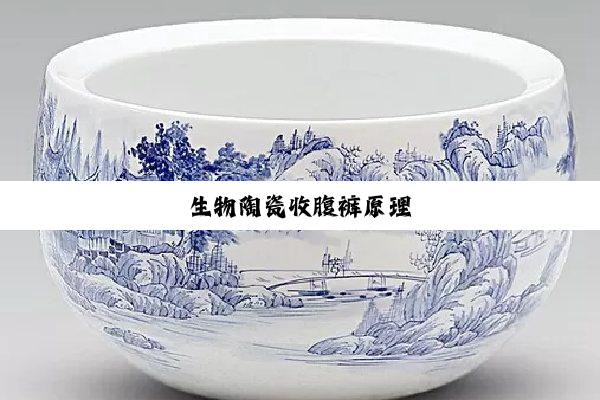 今日科普|生物陶瓷收腹裤原理