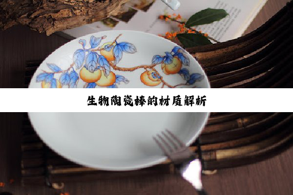 生物陶瓷棒的材质解析