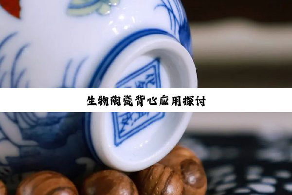 今日科普|生物陶瓷背心应用探讨
