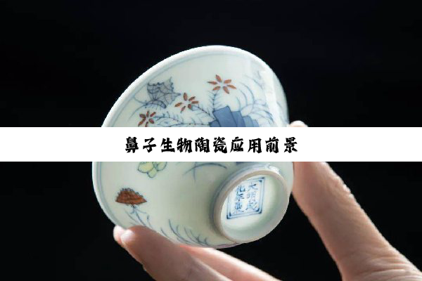 今日科普|鼻子生物陶瓷应用前景
