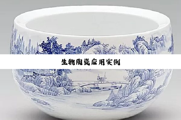 生物陶瓷应用实例